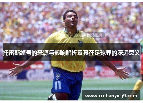 托雷斯绰号的来源与影响解析及其在足球界的深远意义