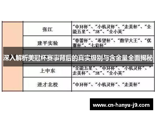 深入解析美冠杯赛事背后的真实级别与含金量全面揭秘