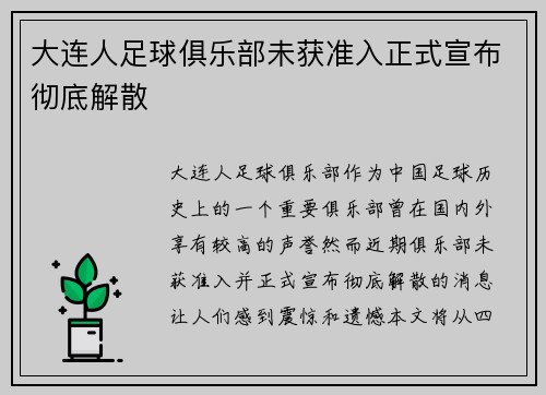 大连人足球俱乐部未获准入正式宣布彻底解散