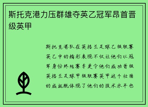 斯托克港力压群雄夺英乙冠军昂首晋级英甲 斯托克港力压群雄夺英乙冠军昂首晋级英甲