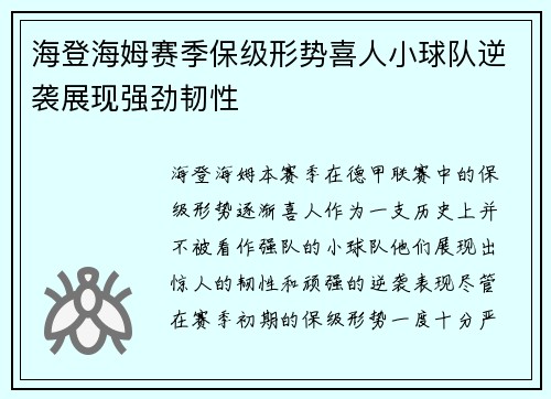 海登海姆赛季保级形势喜人小球队逆袭展现强劲韧性
